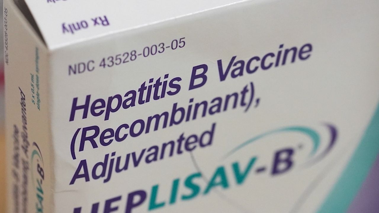 hepatitis b