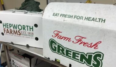 N.Y. food bank starts micro purchasing pilot program