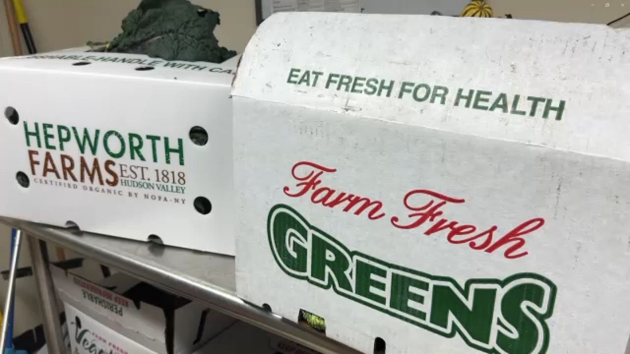 N.Y. food bank starts micro purchasing pilot program