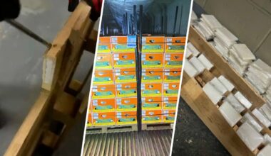130 kilos of meth hidden in pallets of papayas on truck in Brooklyn – NBC New York