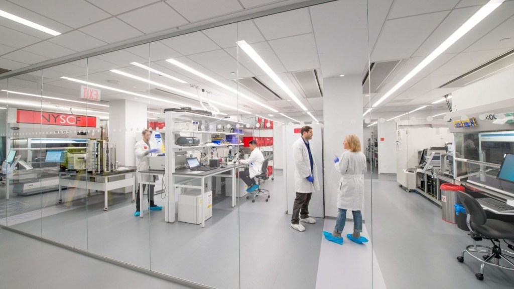 Stem cell research means business in New York City