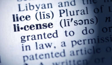Judge Green Lights New York’s Driver’s License Law, Rejecting Trump Challenge