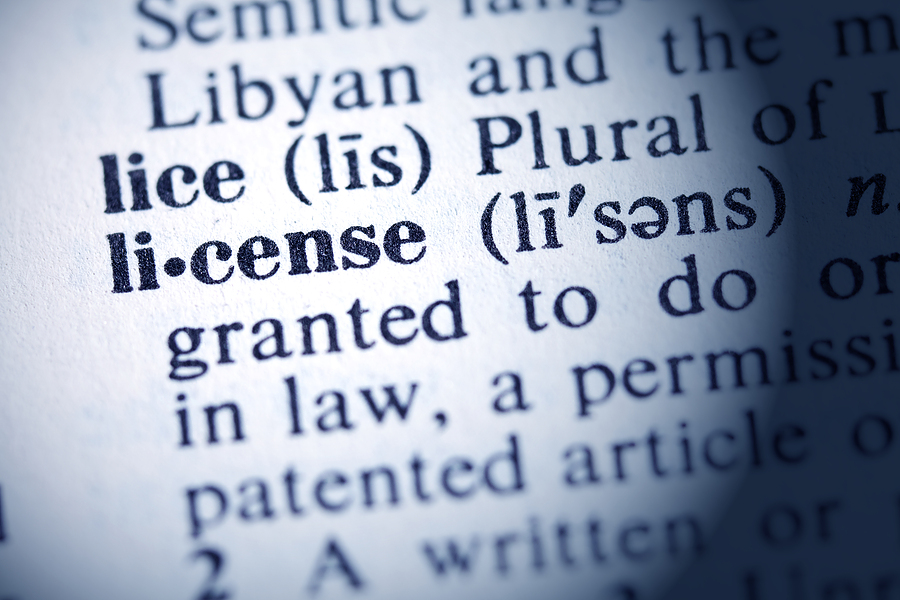 Judge Green Lights New York’s Driver’s License Law, Rejecting Trump Challenge
