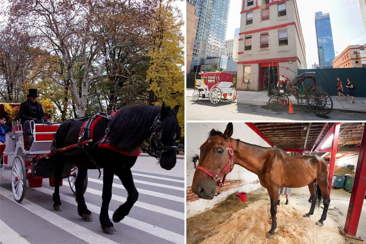 Exclusive | NYC horse carriages refuse testing, prompting threats by city