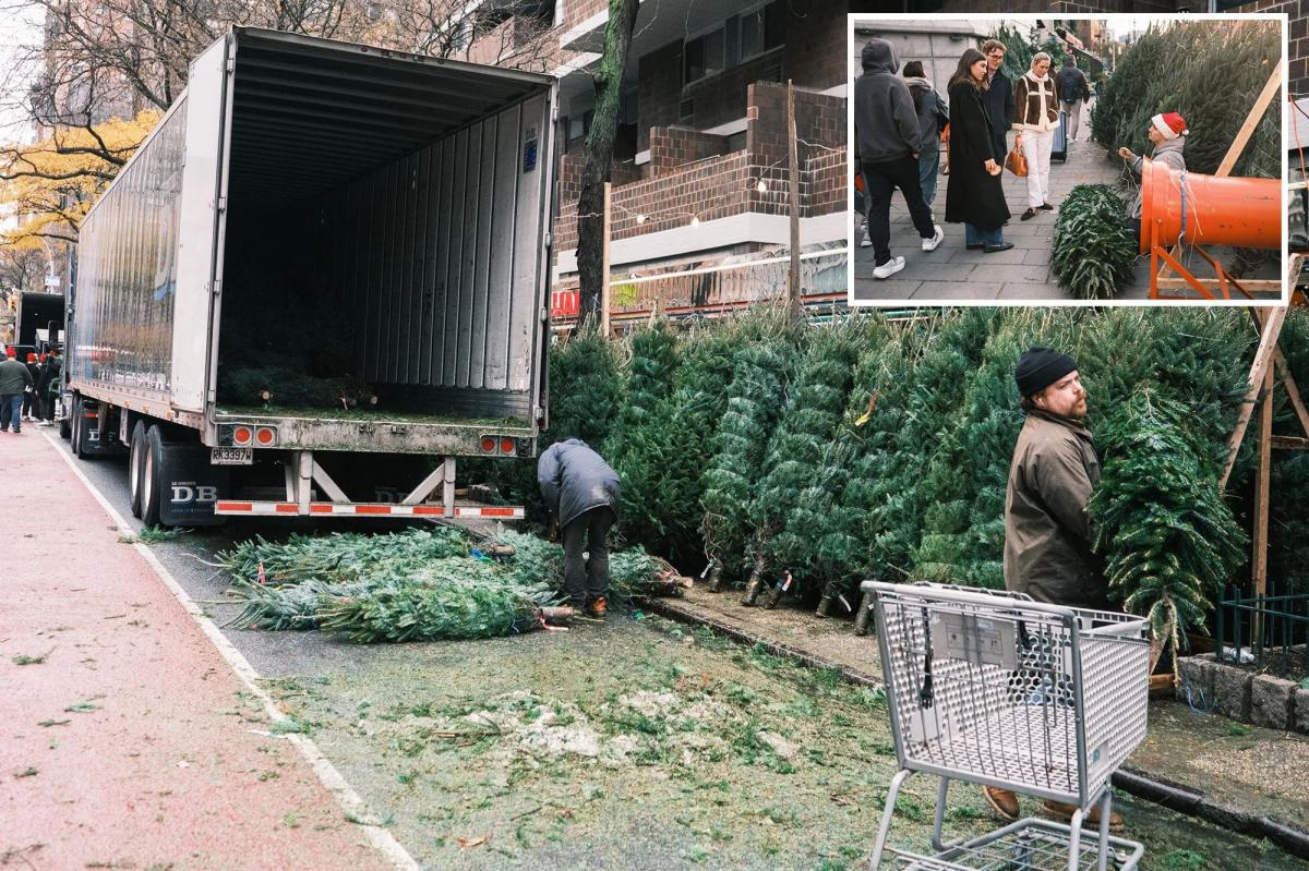 Needled NYers prompt city to change Christmas tree trash pickup