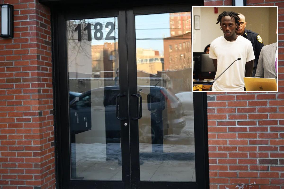 NYC woman stabbed by neighbor enraged over dog as attacker's boyfriend held her down in elevator: officials