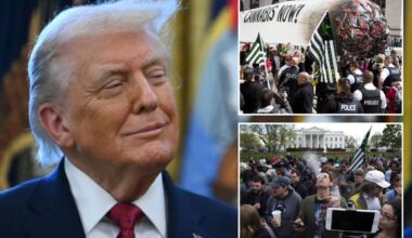 Trump delivers pot reform dream — but stops short of full marijuana legalization