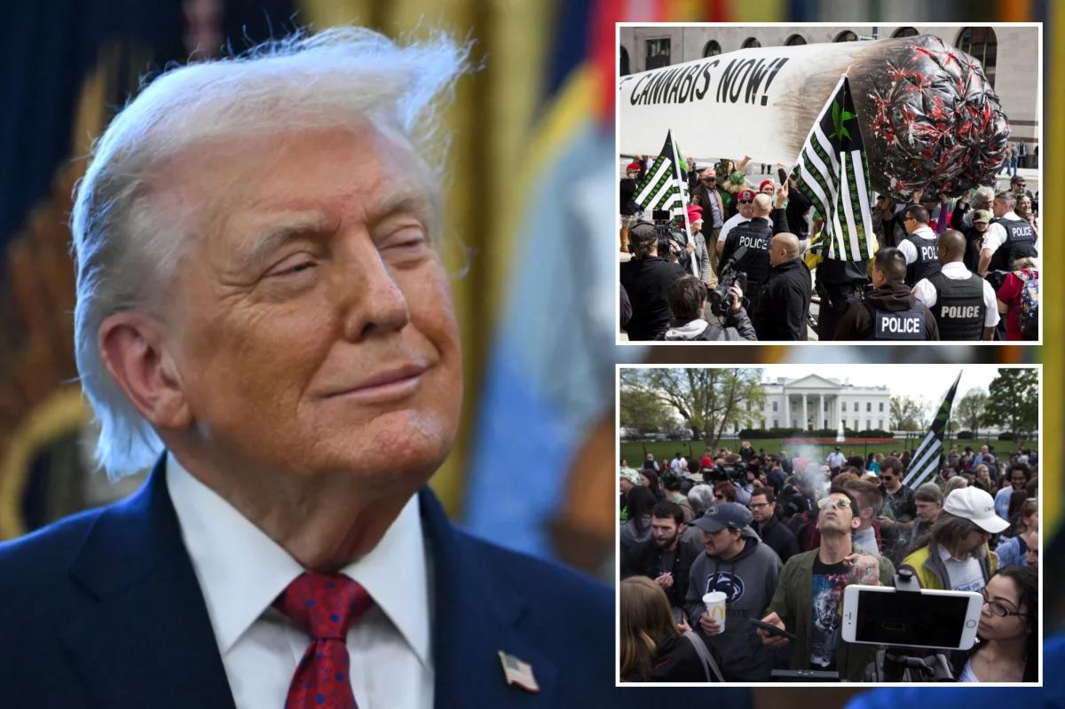 Trump delivers pot reform dream — but stops short of full marijuana legalization