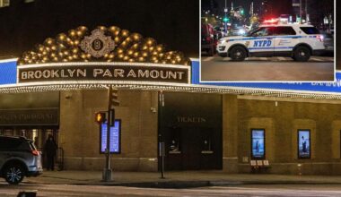 Exclusive | Crafty pickpockets swipe more phones from NYC music venues