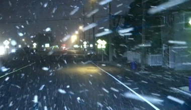 How much snow fell Tuesday? Check snow totals – NBC New York