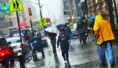 what to expect – NBC New York