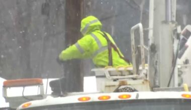 A worker performs maintenance on a power line