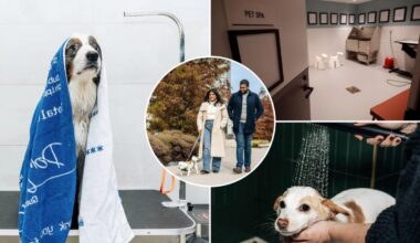 Exclusive | NYC pet amenities are reaching lavish new extras