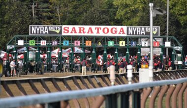 horses at the starting gate at saratoga race course