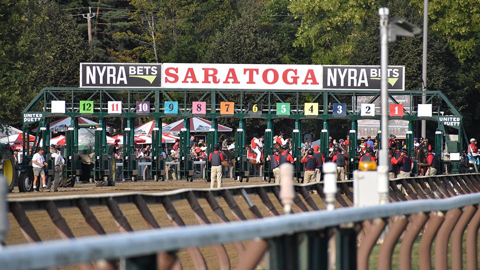 horses at the starting gate at saratoga race course