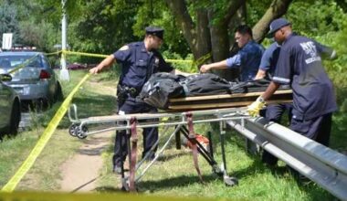 Skeletal remains found in Ridgewood identified as Brooklyn woman: NYPD – QNS