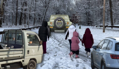 Danger Ahead: City To Let Car Drivers Reoccupy Forest Park Next Week