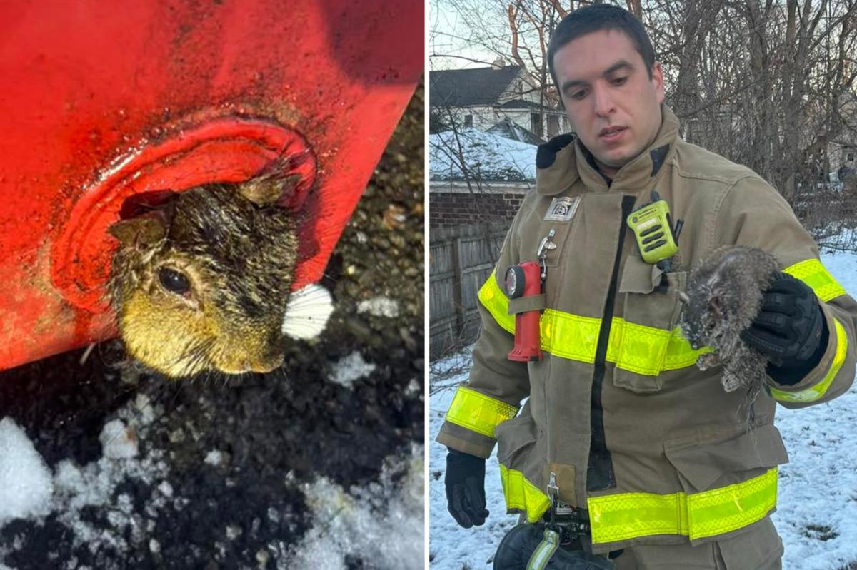 Upstate NY firefighters rescue squirrel trapped in dumpster on Christmas Eve