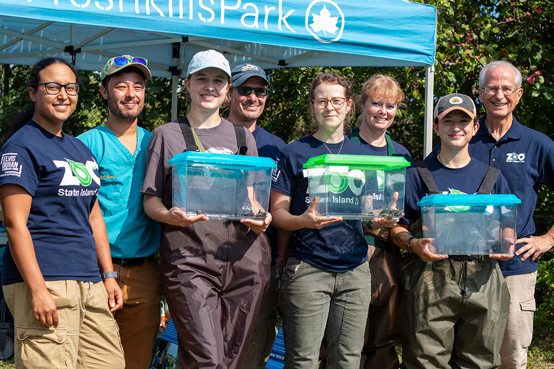 Staten Island Zoo staff during terrapin release.