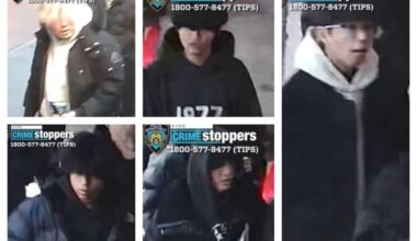 Five suspects wanted in Flushing schoolyard assault, robbery and stabbing of teen: NYPD – QNS