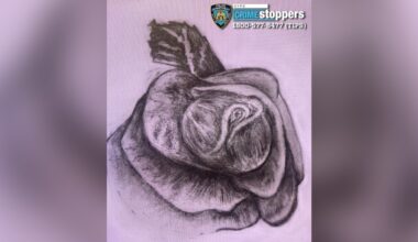 Decomposing remains found stuffed in garbage bag near Queens highway ID'd as Christina Purdie, 27