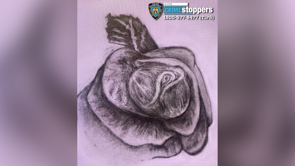 Decomposing remains found stuffed in garbage bag near Queens highway ID'd as Christina Purdie, 27