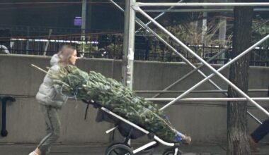 What Are You Paying This Year to Bring Home a Christmas Tree on the Upper West Side?