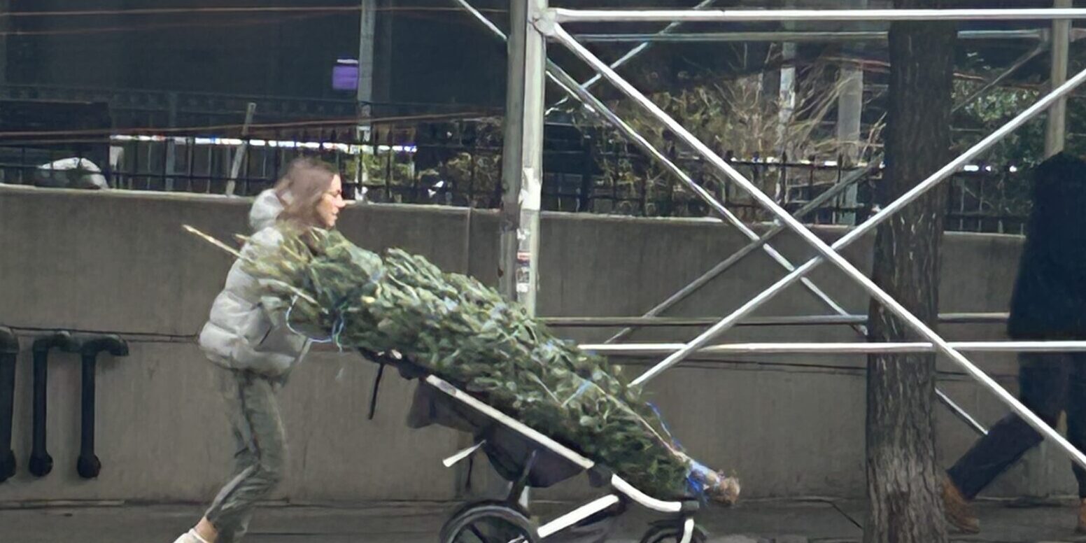 What Are You Paying This Year to Bring Home a Christmas Tree on the Upper West Side?