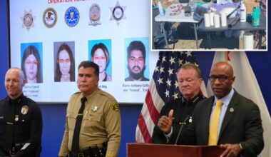 Far-left extremists who allegedly planned LA New Year's Eve terror attack also wanted to 'take out' ICE agents