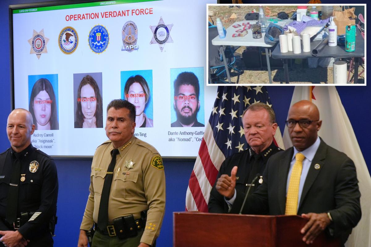 Far-left extremists who allegedly planned LA New Year's Eve terror attack also wanted to 'take out' ICE agents
