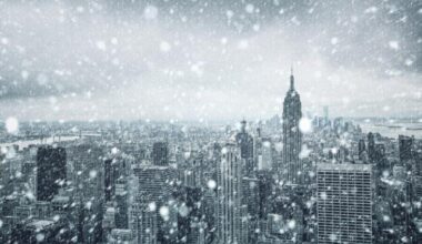 Heavy Snow Disrupts New York City Travel: How Tourists Can Experience the Magic of the Big Apple Without Delays