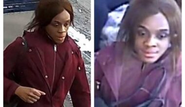 Woman stabbed 16-year-old boy on MTA bus in Fresh Meadows: NYPD – QNS
