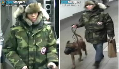 Cops hunt man who ordered his dog to attack stranger in Union Square subway