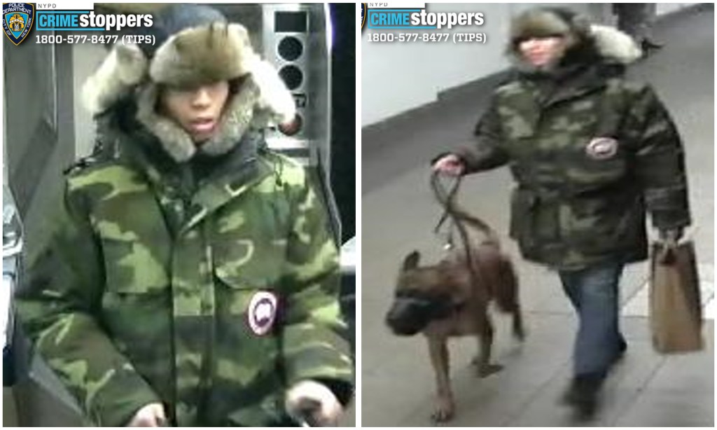 Cops hunt man who ordered his dog to attack stranger in Union Square subway