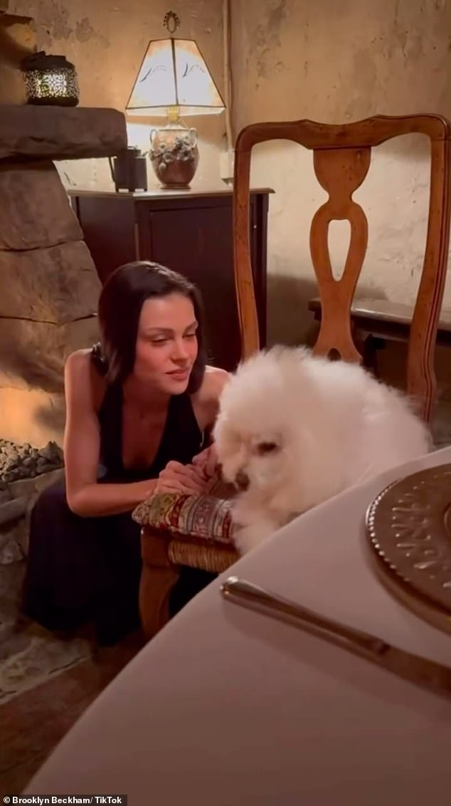 The couple were joined by their dog Lamb as they walked along Malibu Beach, enjoyed dinners and even had a champagne toast