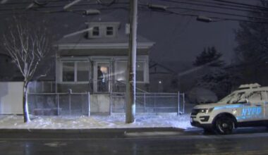 59-year-old man mauled to death by pit bull on Staten Island, police say