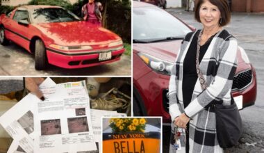 Upstate NY nonna had to hand in beloved 'Bella' plates after getting tickets meant for NYC biker