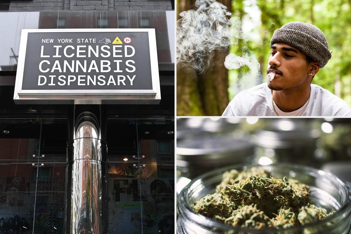 NY legal pot shops more than double in 2025, sales surpass $2.5 billion