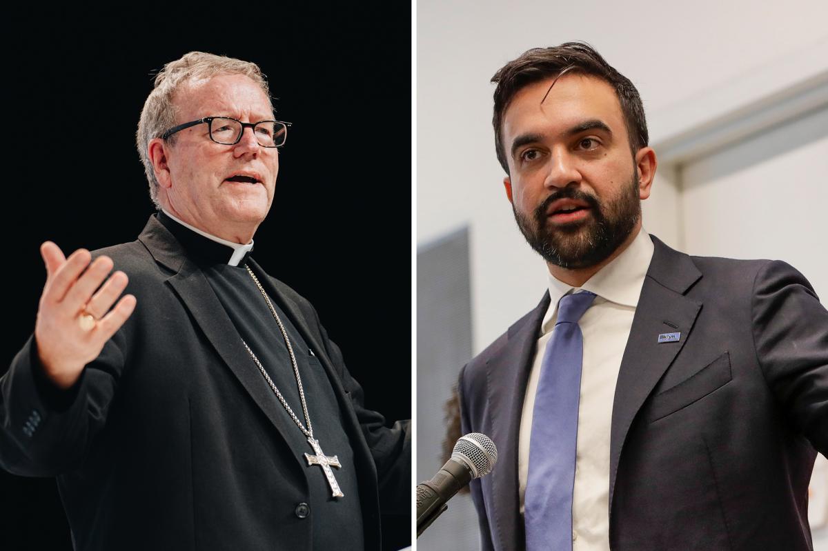 Bishop Robert Barron slams Zohran Mamdani's 'warmth of collectivism' line: ‘For God’s sake’