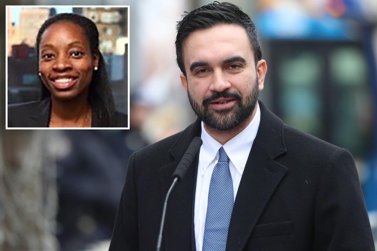 Zohran Mamdani taps budget vet as go-between in Albany to push socialist agenda