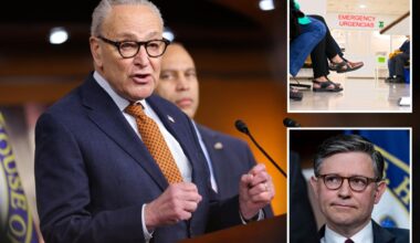 House extends Obamacare subsidies, as Senate floats compromise bill