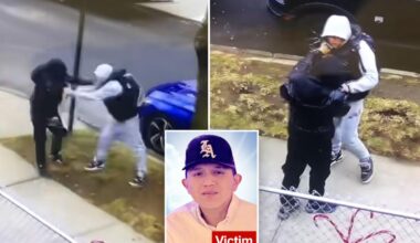 Teen charged in fatal NYC stabbing had just been cut loose without bail: DA