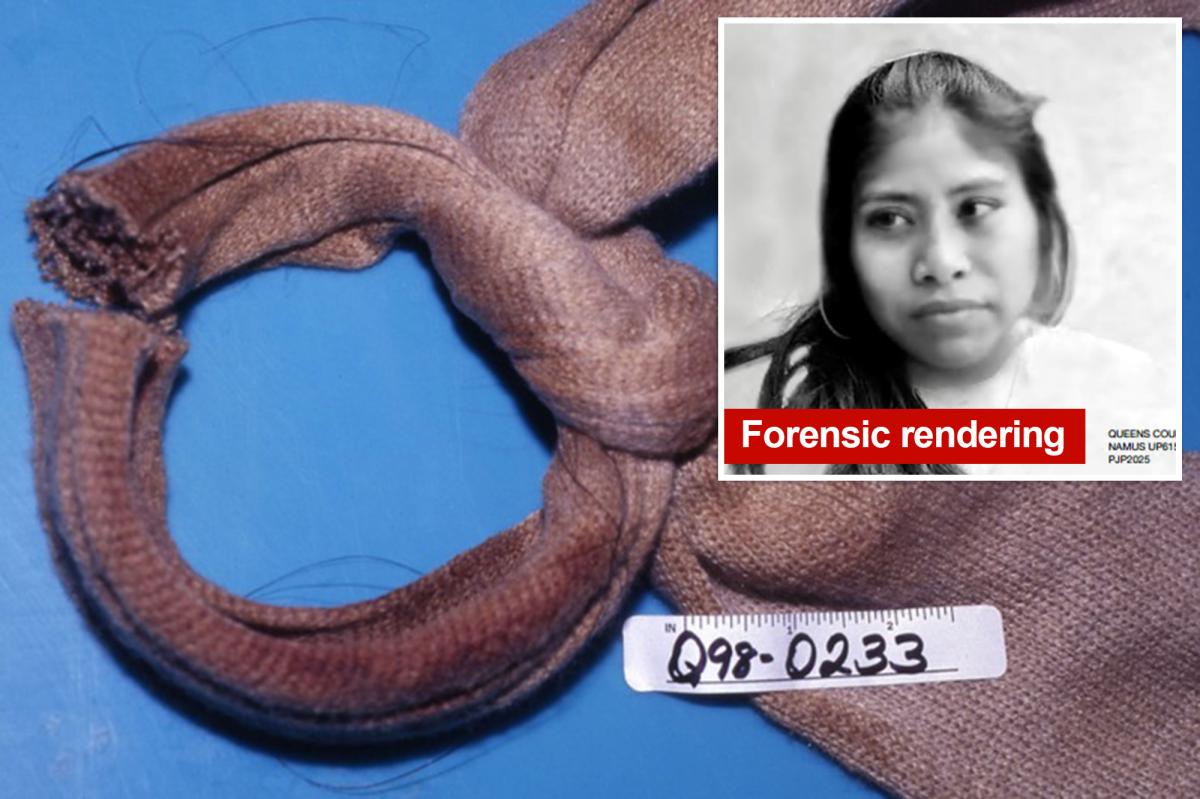 Convicted killer, 59, charged with strangling another 'Jane Doe' woman to death inside NYC hotel in 1998: DA