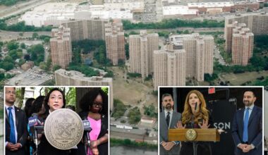 Queens pol seeks overhaul of woke gas-to-electric stove conversion law