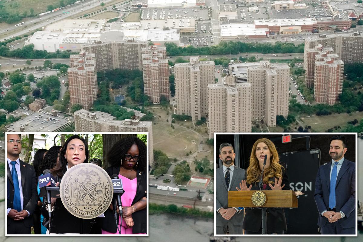Queens pol seeks overhaul of woke gas-to-electric stove conversion law