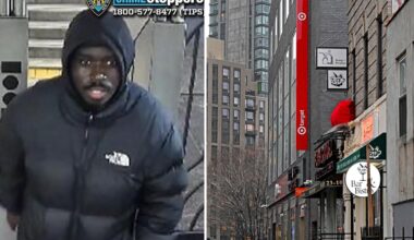 Brazen NYC carjacker swipes vehicle where blind senior was waiting for son