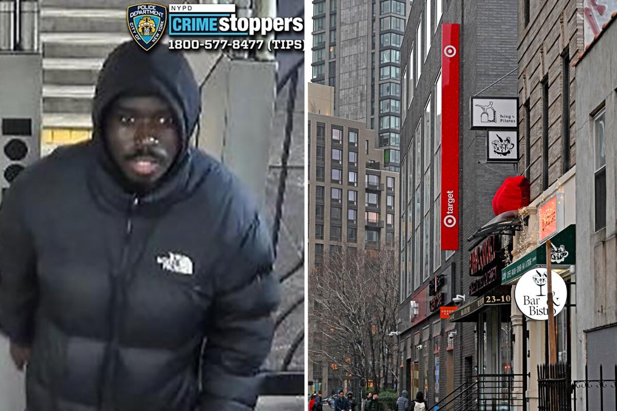 Brazen NYC carjacker swipes vehicle where blind senior was waiting for son