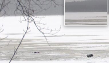 Heroic father 'died saving' his 6-year-old son when they fell through ice in upstate NY pond