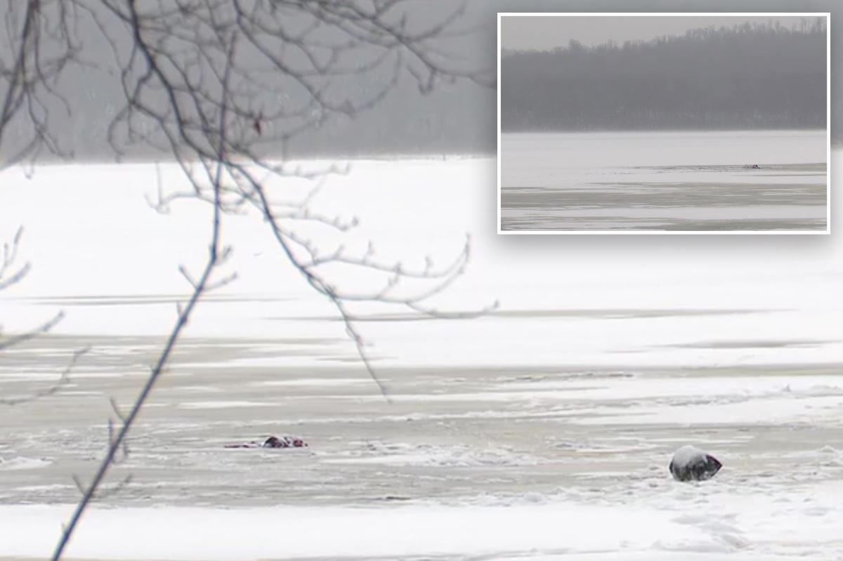 Heroic father 'died saving' his 6-year-old son when they fell through ice in upstate NY pond