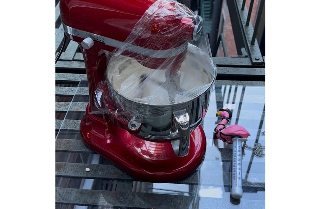 Red stand mixer with a plastic cover over the bowl, sitting next to a flamingo thermometer on Colette Komm's Upper West Side stoop